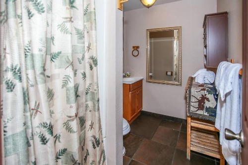 Fox n Bear Cottages Relax and Enjoy Ski or Lake Vacation - image 7