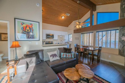Viking Bear Lair Lakefront Condo - image 5