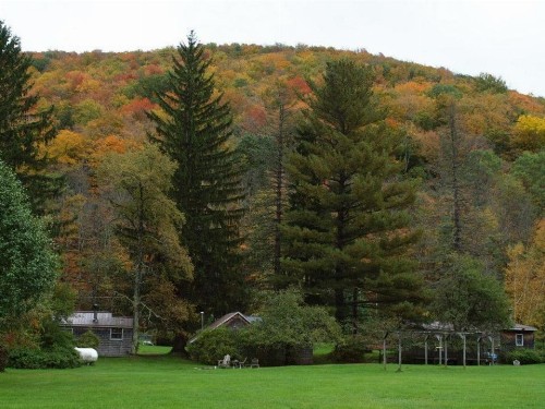 Cold Spring Lodge - image 11