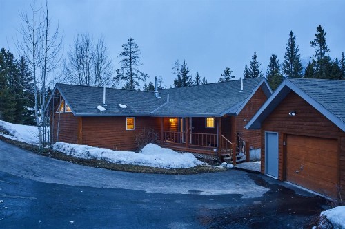 Lone Walker Home - image 4