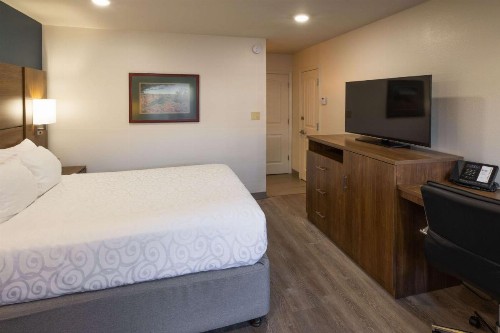 Best Western Plus Clocktower Inn - image 26