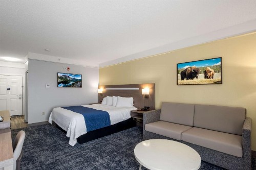 SureStay Plus Hotel by Best Western Billings - image 16