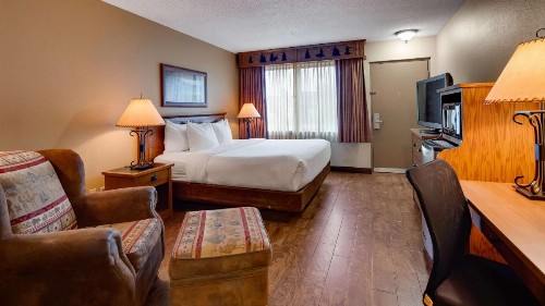 Best Western Plus Kelly Inn & Suites - image 14