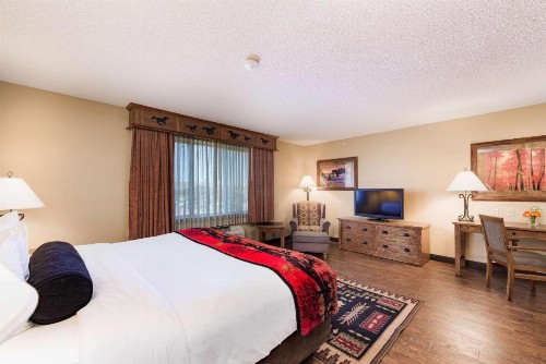 Best Western Plus Kelly Inn & Suites - image 40