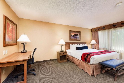 Best Western Plus Kelly Inn & Suites - image 47