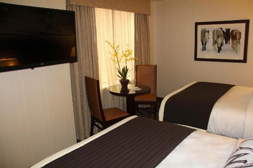 Northern Hotel - image 25