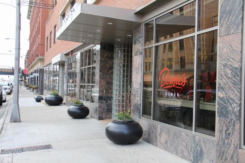 Northern Hotel - image 5