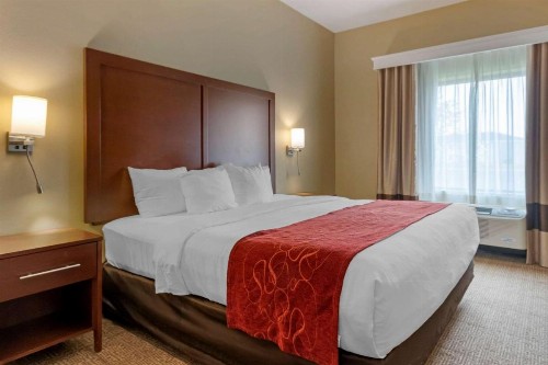 Comfort Suites Billings - image 10