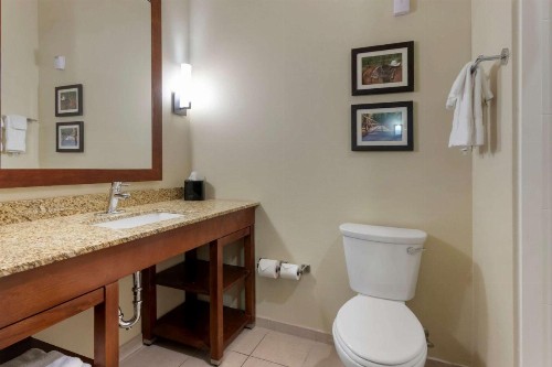 Comfort Suites Billings - image 16