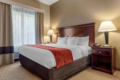 Comfort Suites Biloxi/Ocean Springs - image 10