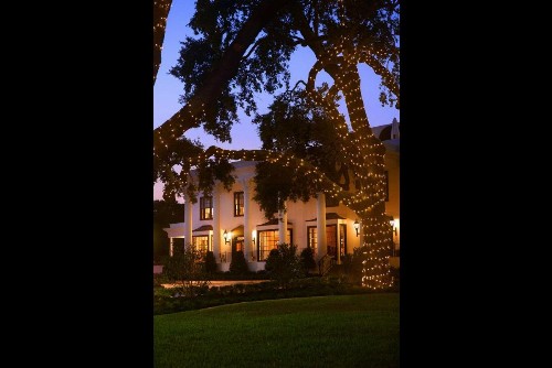 White House Hotel - image 10