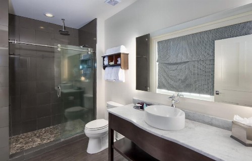 White House Hotel - image 21