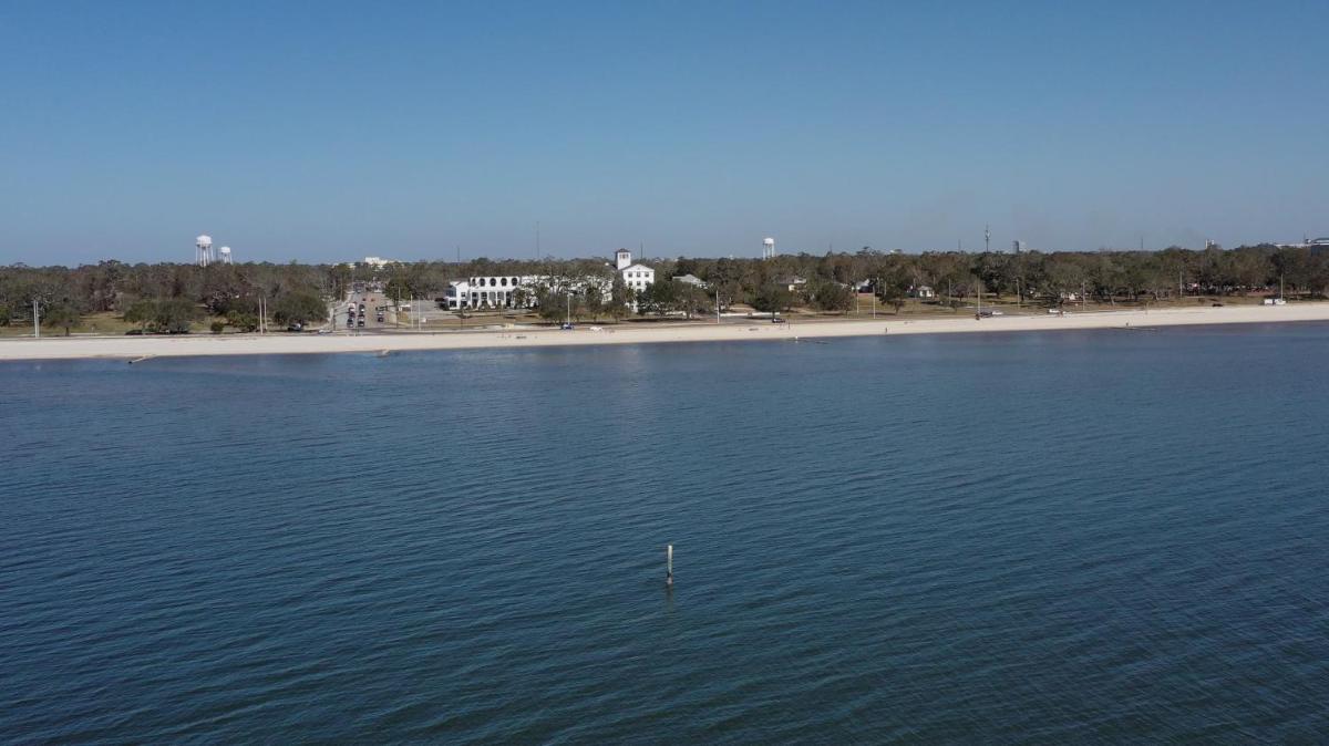 White House Hotel - image 7