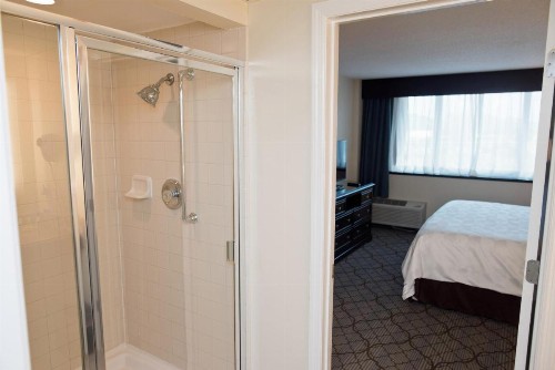 Holiday Inn Birmingham-Airport an IHG Hotel - image 10