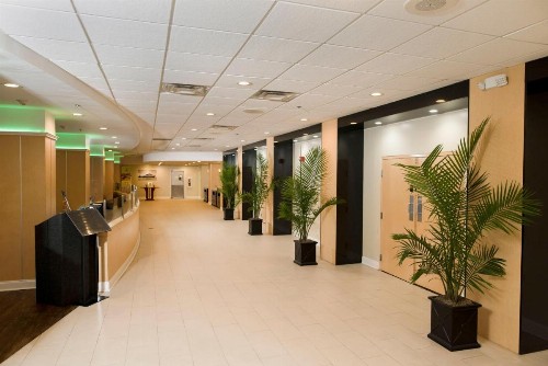 Holiday Inn Birmingham-Airport an IHG Hotel - image 29