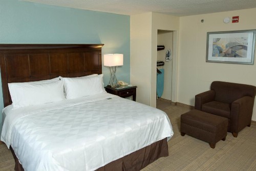 Holiday Inn Birmingham-Airport an IHG Hotel - image 3
