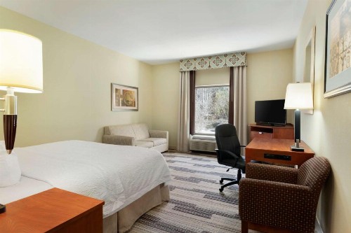 Hampton Inn & Suites Birmingham Airport Area - image 7