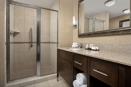 Embassy Suites Birmingham / Hoover - image 15