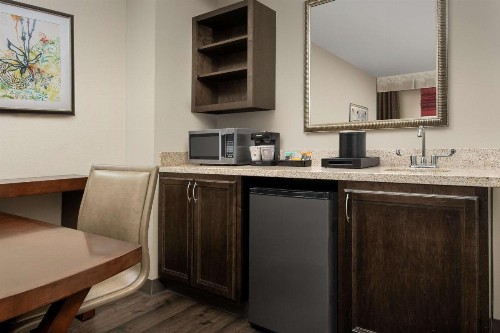 Embassy Suites Birmingham / Hoover - image 32