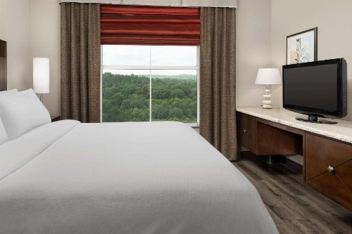 Embassy Suites Birmingham / Hoover - image 4