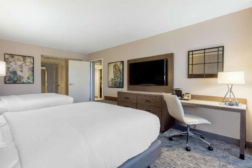 DoubleTree Birmingham Perimeter Park - image 4