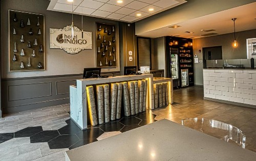 Hotel Indigo - Birmingham Five Points S - UAB an IHG Hotel - image 1