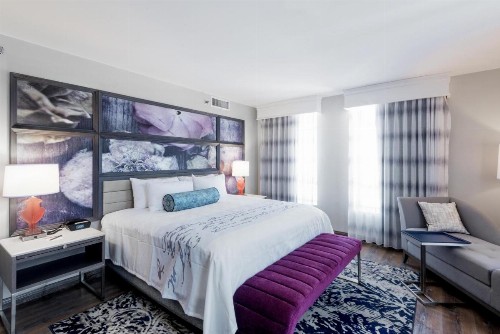 Hotel Indigo - Birmingham Five Points S - UAB an IHG Hotel - image 10