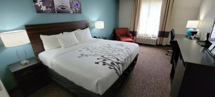 Sleep Inn & Suites Birmingham - Hoover - image 5