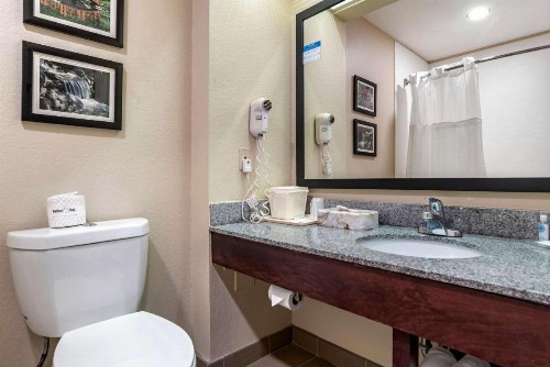 Comfort Inn Airport - image 21