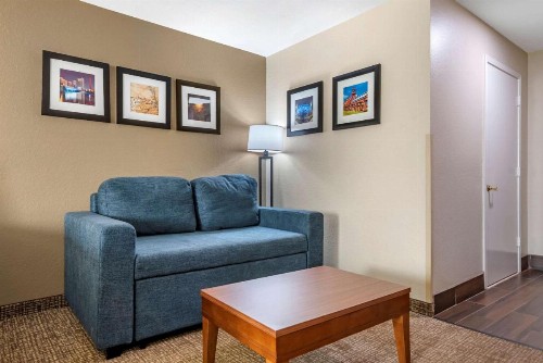 Comfort Inn Airport - image 22