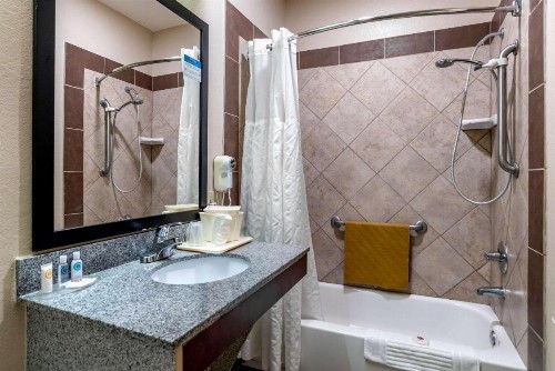 Comfort Inn Airport - image 25