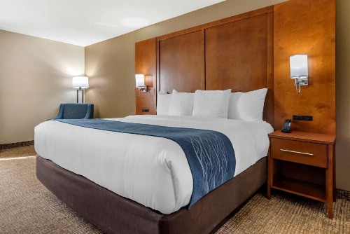 Comfort Inn Airport - image 3