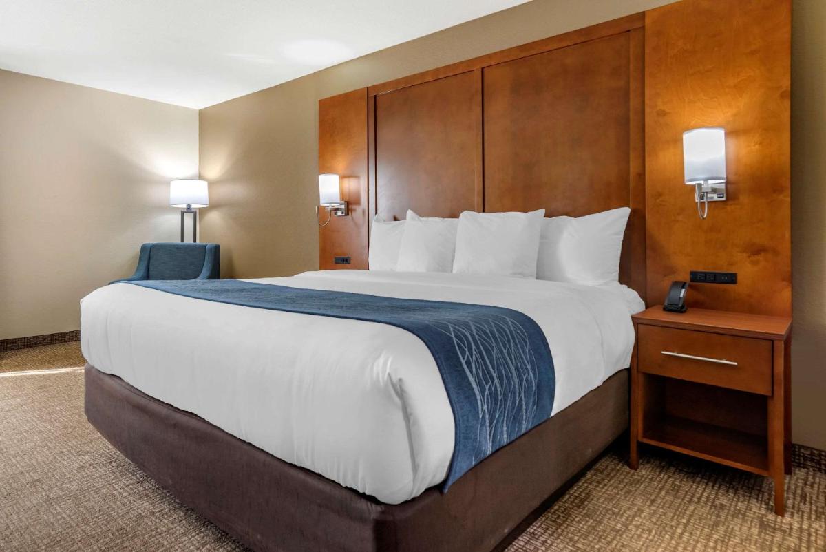 Comfort Inn Airport - image 3