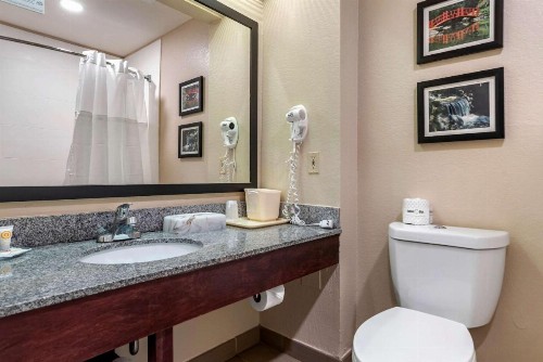 Comfort Inn Airport - image 30