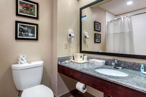 Comfort Inn Airport - image 32