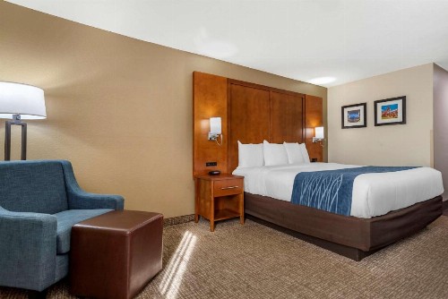 Comfort Inn Airport - image 38