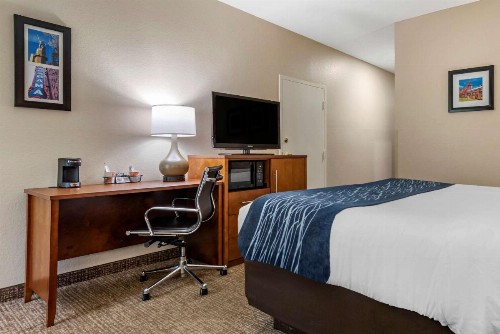 Comfort Inn Airport - image 4