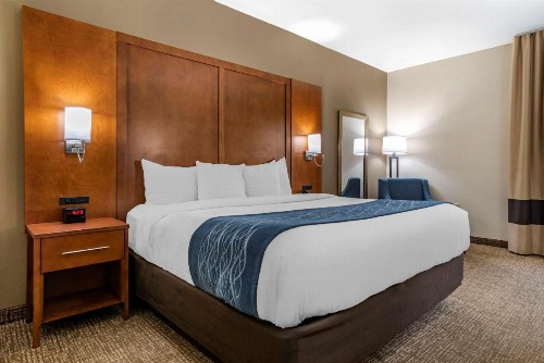 Comfort Inn Airport - image 5