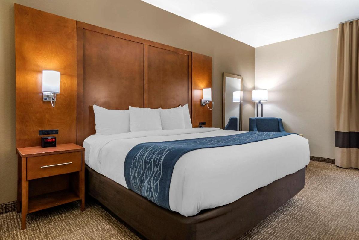 Comfort Inn Airport - image 5