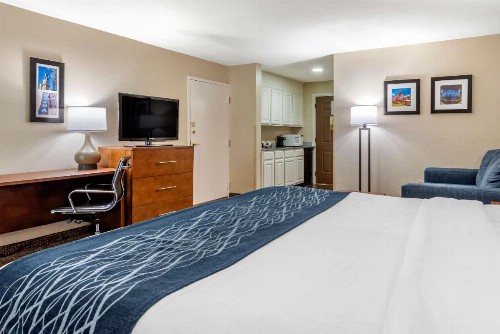 Comfort Inn Airport - image 7