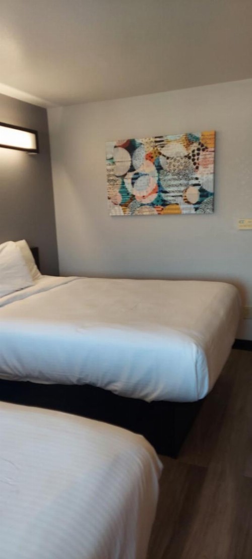Microtel Inn & Suites by Wyndham Hoover/Birmingham - image 21