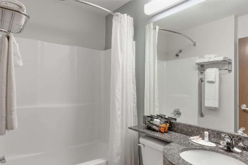 Microtel Inn & Suites by Wyndham Hoover/Birmingham - image 36