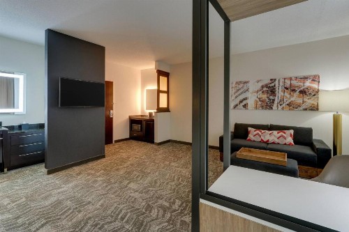 SpringHill Suites by Marriott Birmingham Downtown at UAB - image 13