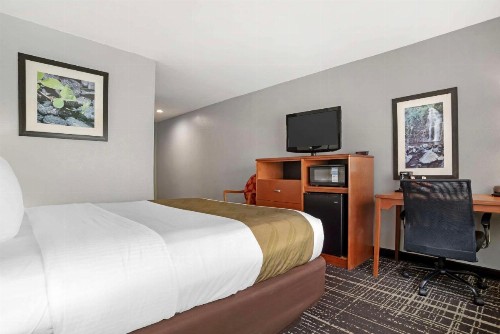 Quality Inn & Suites Birmingham - Highway 280 - image 17