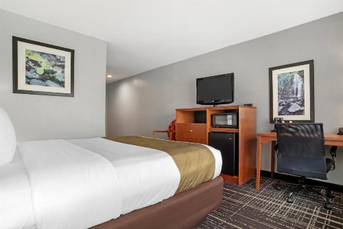 Quality Inn & Suites Birmingham - Highway 280 - image 44