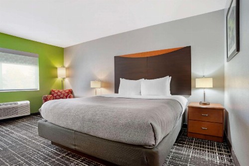 Quality Inn & Suites Birmingham - Highway 280 - image 6