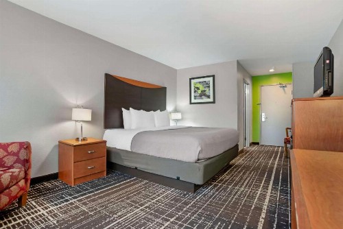 Quality Inn & Suites Birmingham - Highway 280 - image 7