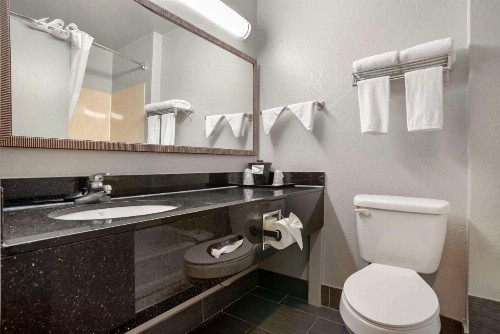 Quality Inn & Suites Birmingham - Highway 280 - image 9