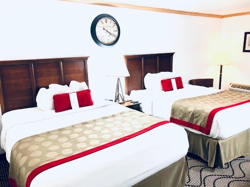 Ramada by Wyndham Birmingham Airport - image 26