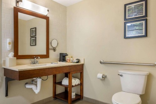 Comfort Inn & Suites At CrossPlex Village - image 13